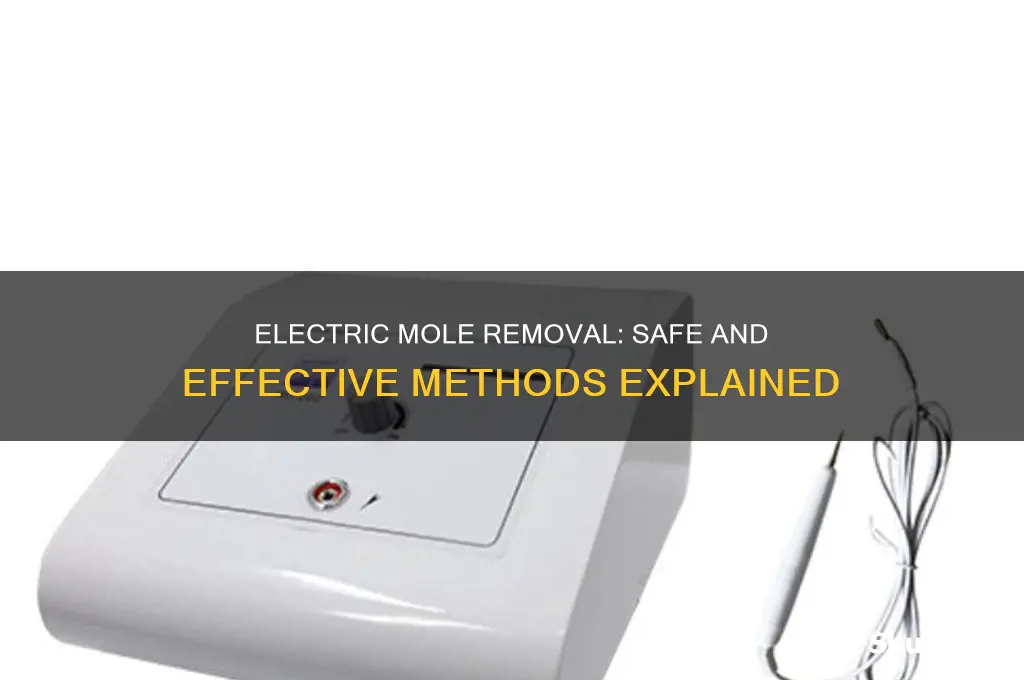 can you use electricity to eliminate moles