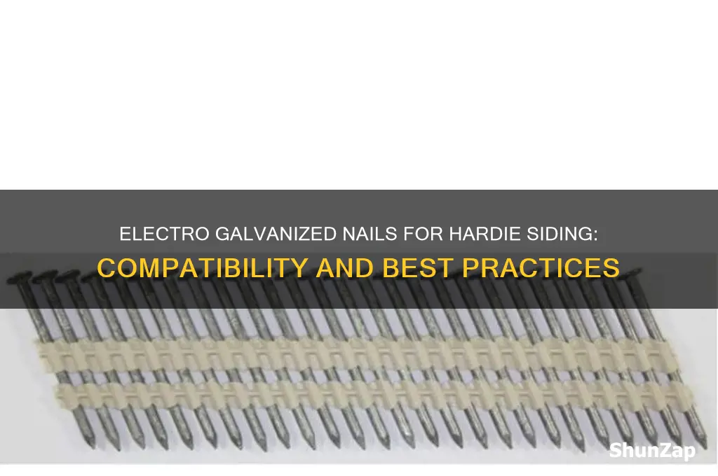 can you use electro galvanized nails for hardie siding