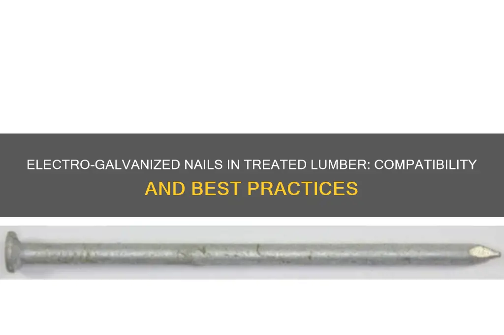 can you use electro galvanized nails in treated lumber