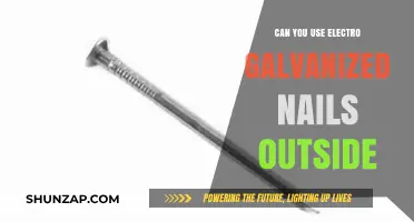 Electro Galvanized Nails for Outdoor Use: Durability and Best Practices