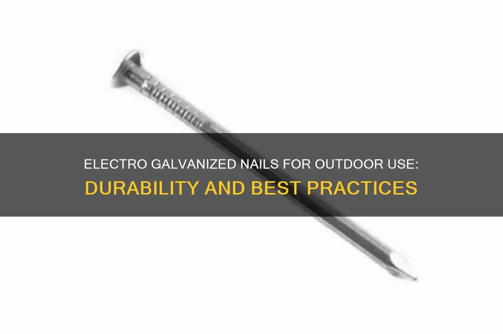 can you use electro galvanized nails outside