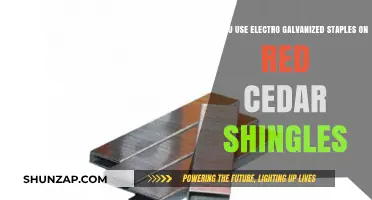 Electro-Galvanized Staples for Red Cedar Shingles: Compatibility and Durability