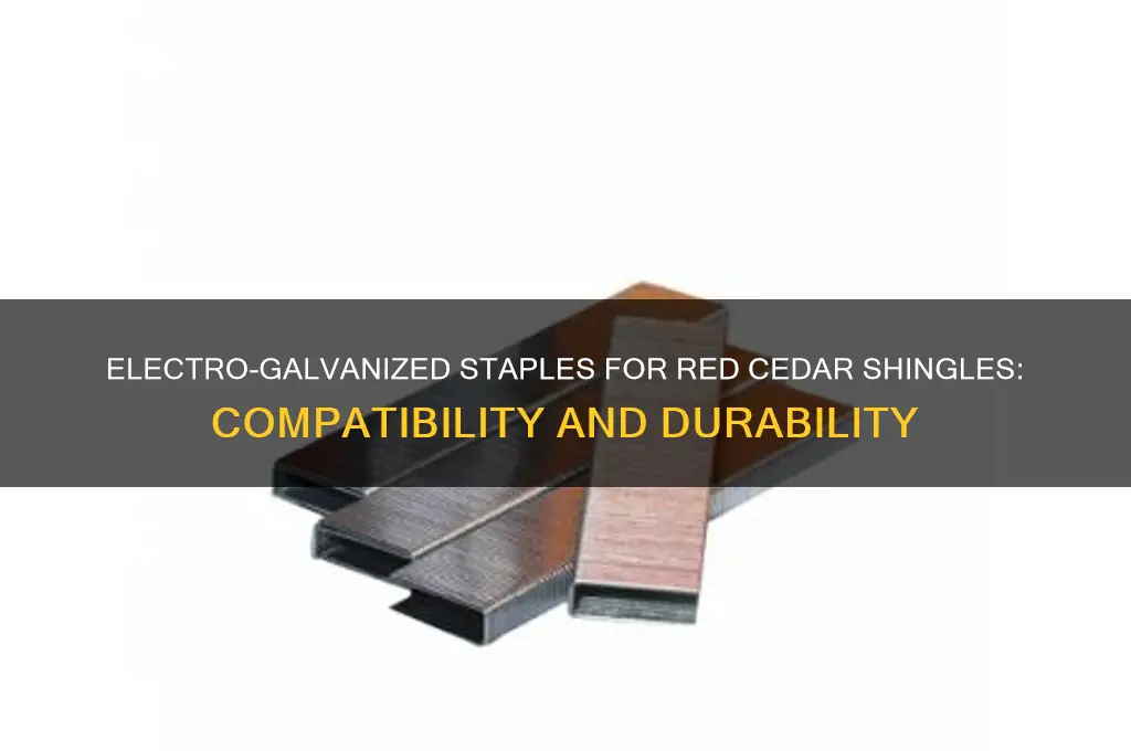 can you use electro galvanized staples on red cedar shingles