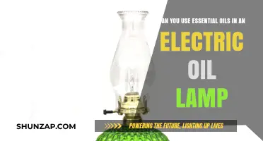 Using Essential Oils in Electric Oil Lamps: Safe or Risky?