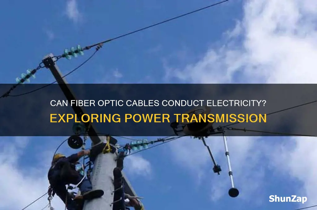 can you use fiber optic wire to run electricity