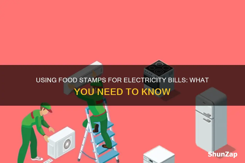 can you use food stamp cards to pay for electricity