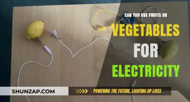 Powering Up: Using Fruits and Vegetables to Generate Electricity