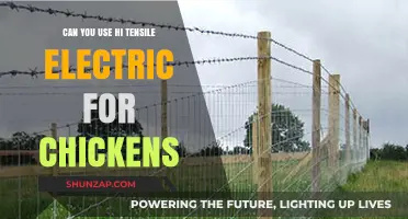 Using High Tensile Electric Fencing for Chicken Coops: Pros and Cons