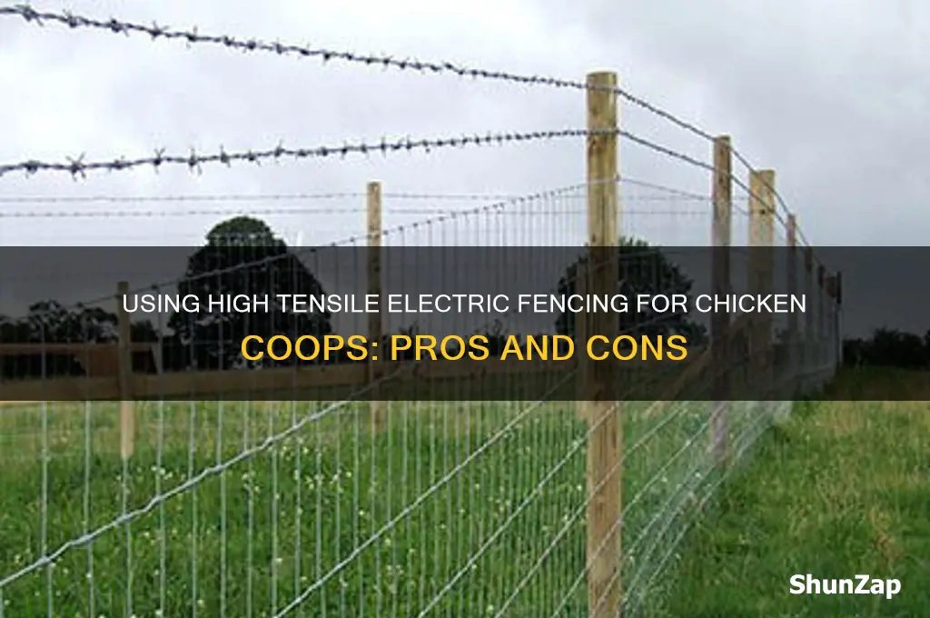 can you use hi tensile electric for chickens