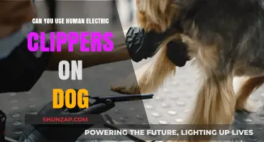 Human Clippers for Dogs: Safe or Risky Grooming Choice?