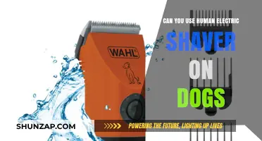 Human Electric Shavers on Dogs: Safe or Risky Grooming Choice?