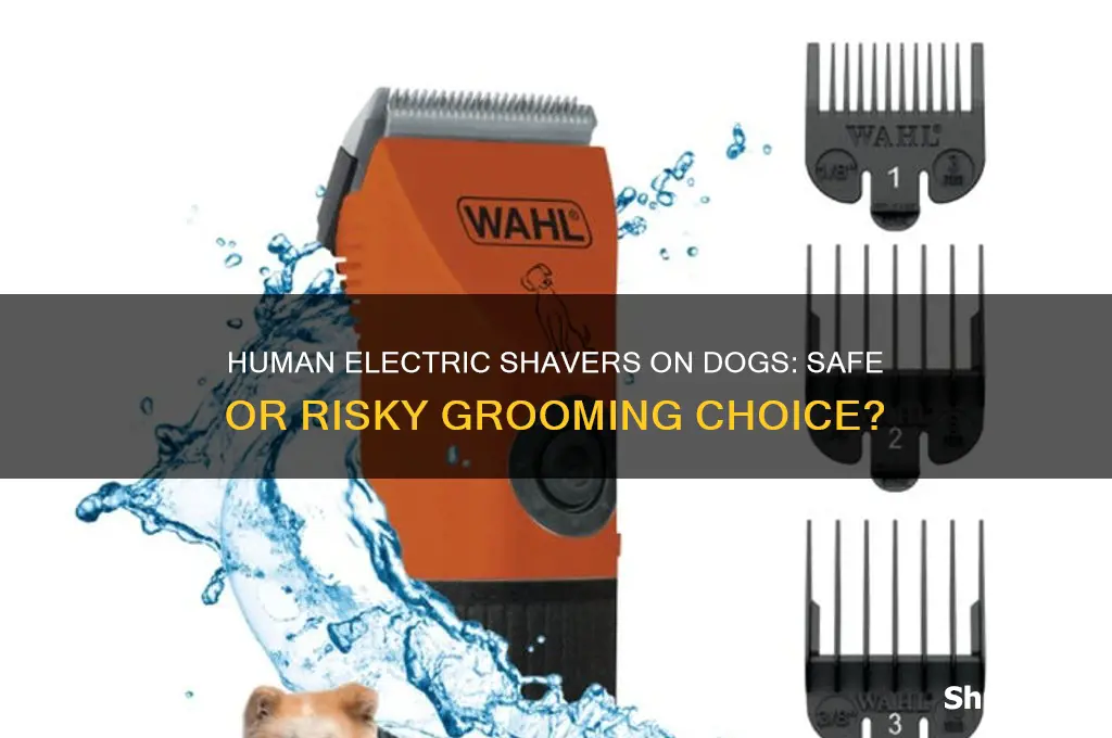 can you use human electric shaver on dogs