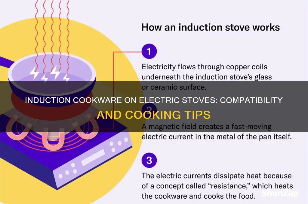 can you use induction cookware on a regular electric stove
