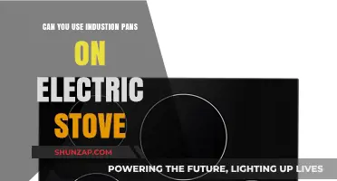 Induction Pans on Electric Stoves: Compatibility and Cooking Tips