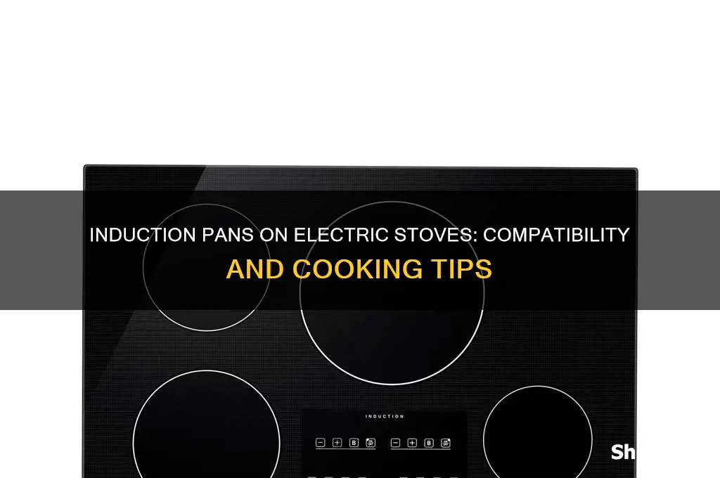 can you use industion pans on electric stove