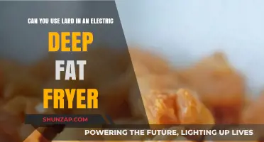 Using Lard in Electric Deep Fryers: Tips, Safety, and Best Practices