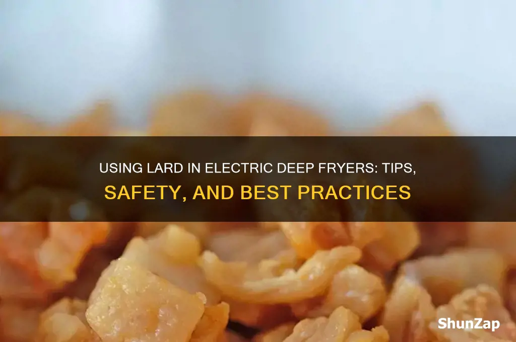 can you use lard in an electric deep fat fryer