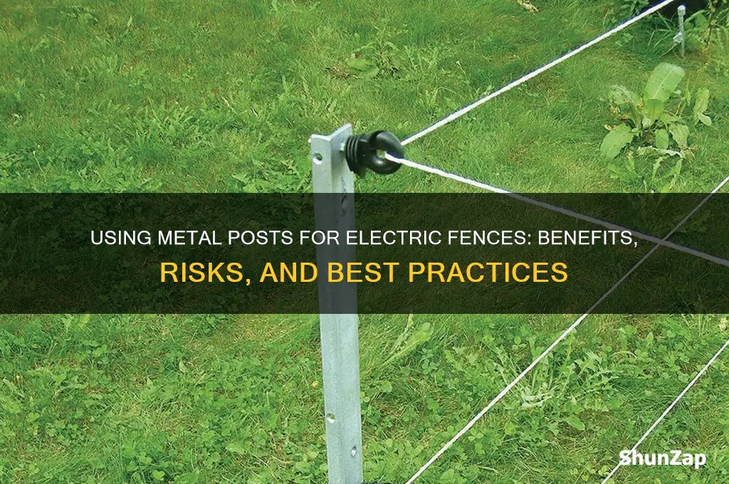 can you use metal posts for electric fence