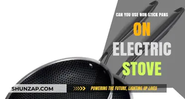 Using Non-Stick Pans on Electric Stoves: Safe or Risky?