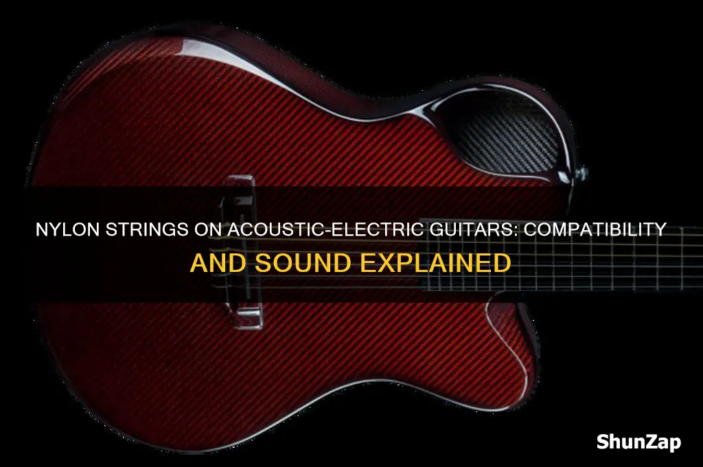 can you use nylon strings on acoustic electric guitar