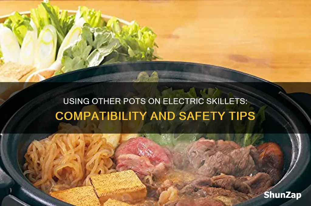 can you use other pots on electric skillet