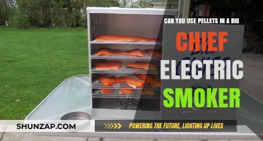 Using Pellets in a Big Chief Electric Smoker: Tips and Tricks