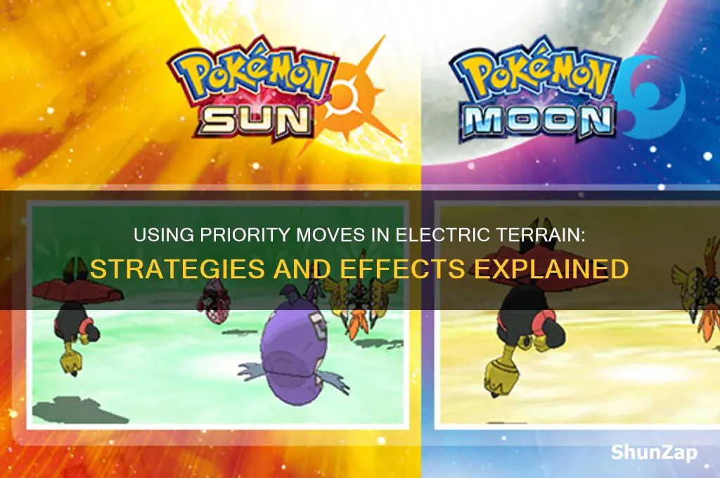 can you use priority in electric terrain