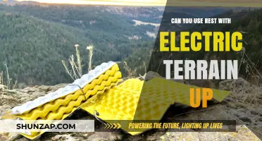 Using Rest with Electric Terrain: Strategies and Effects in Pokémon Battles