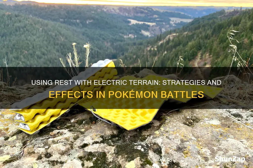 can you use rest with electric terrain up