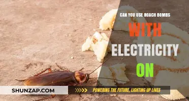 Using Roach Bombs Safely: Electricity Compatibility and Precautions Explained