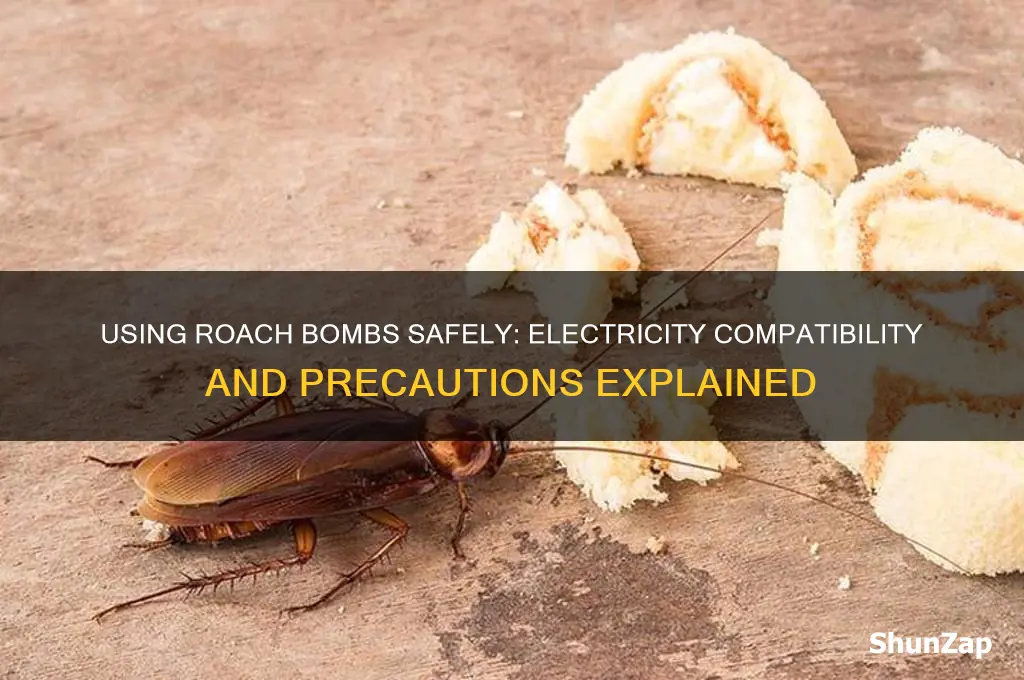 can you use roach bombs with electricity on