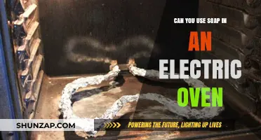 Using Soap in Electric Ovens: Safe or Risky Cleaning Hack?