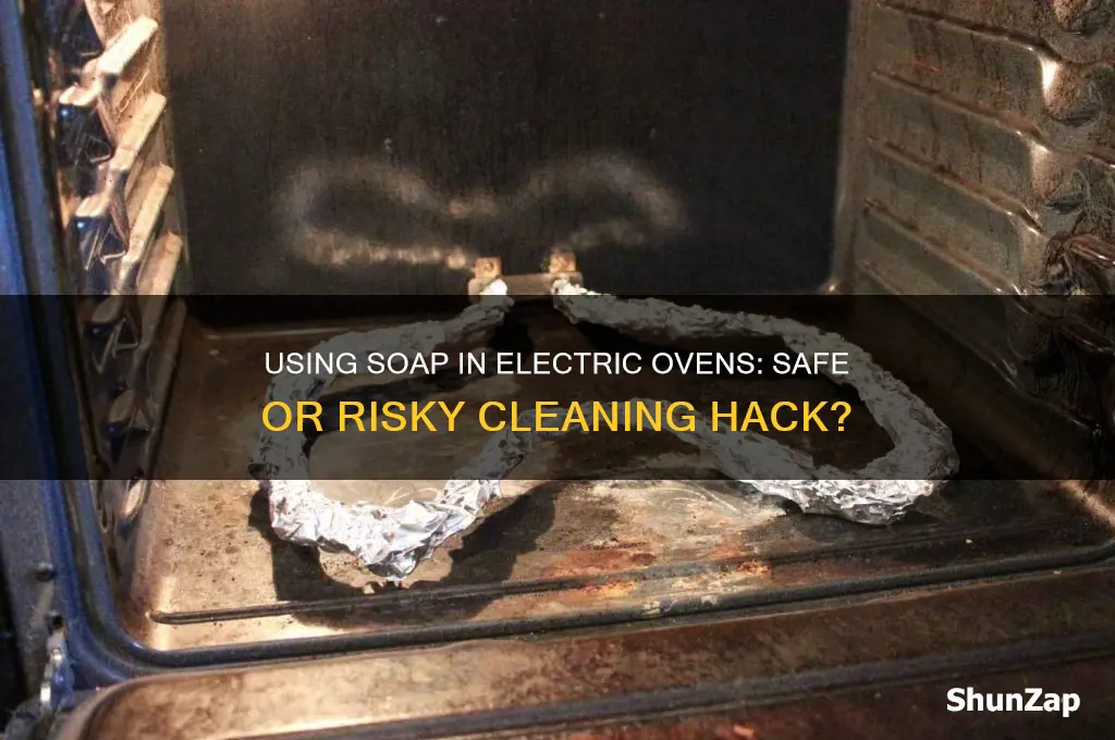 can you use soap in an electric oven