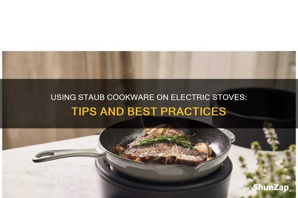 can you use staub on electric stove