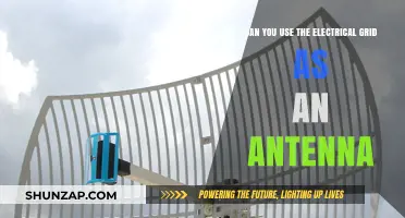 Using the Electrical Grid as an Antenna: Feasibility and Practical Insights