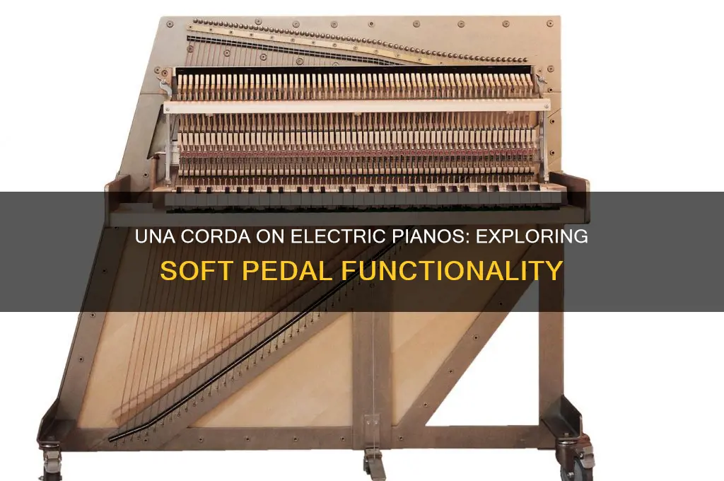 can you use una corda on all electric pianos