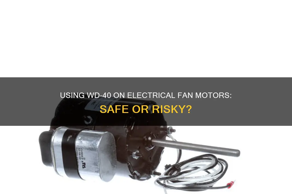 can you use wd 40 on electrical fan motor