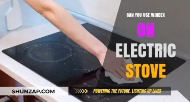 Can You Use Windex on Electric Stove? Cleaning Tips and Safety