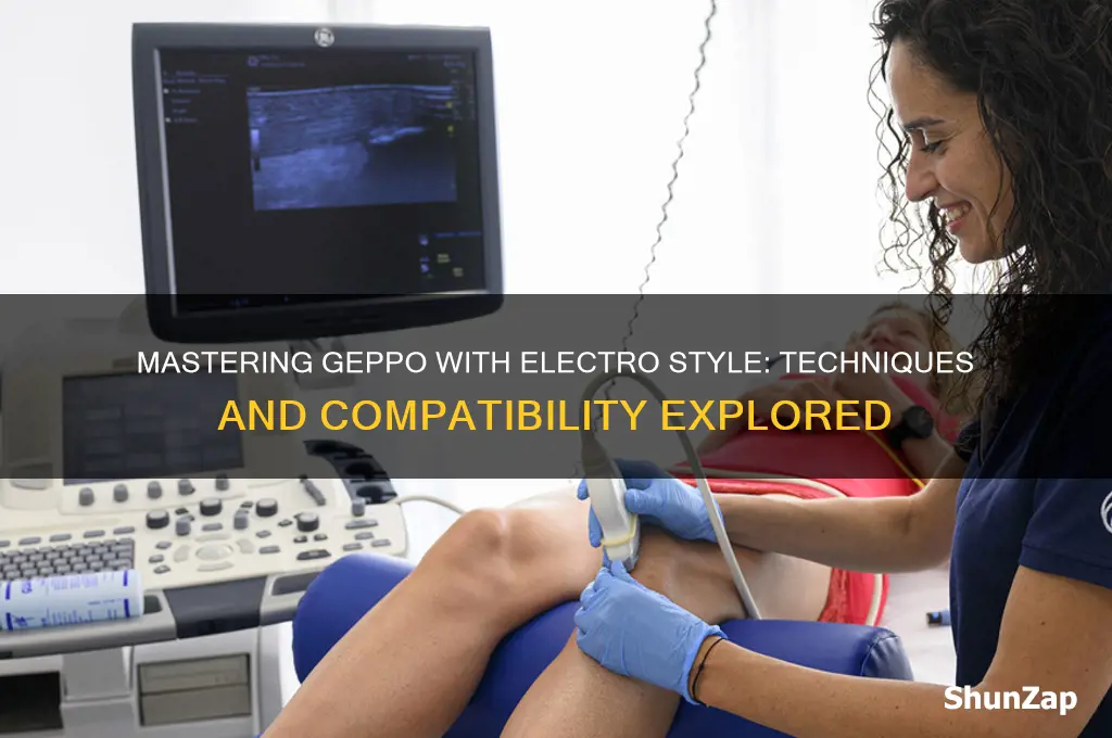 can ypu use geppo with electro style