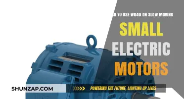 WD40 for Small Electric Motors: Safe Solution for Slow Movement?