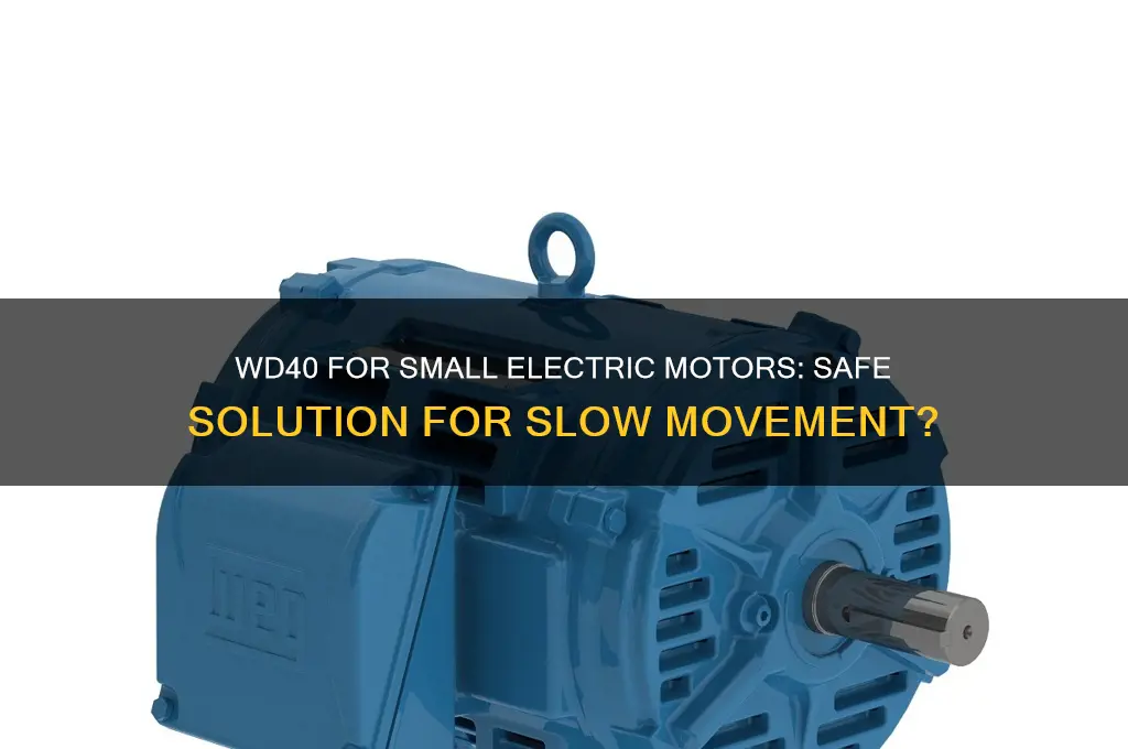 can yu use wd40 on slow moving small electric motors
