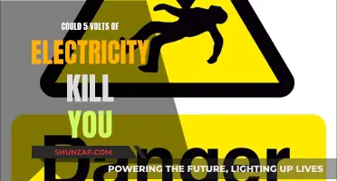 Voltage and Human Safety: 5 Volts Deadly?