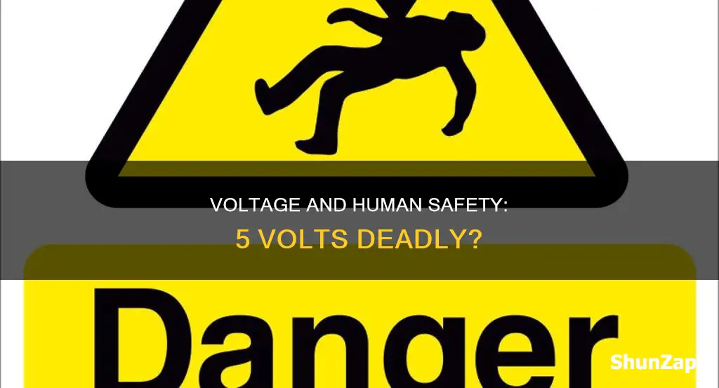 could 5 volts of electricity kill you