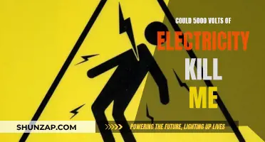 High-Voltage Hazards: 5000 Volts and Your Safety