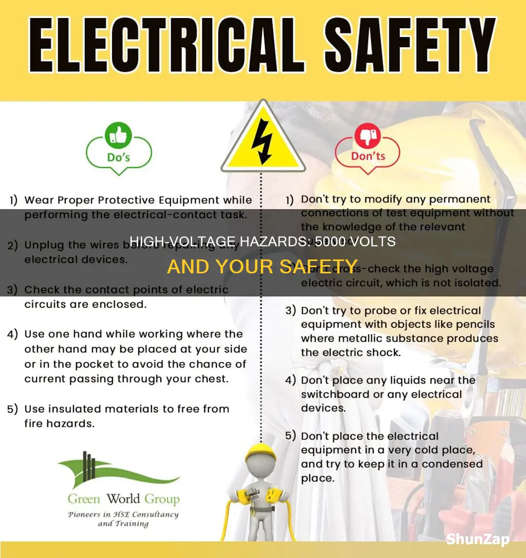 could 5000 volts of electricity kill me