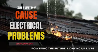 Roof Leaks: Electrical Hazards and Damages