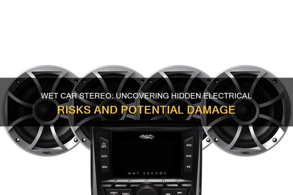 could a wet car stereo cause additional electrical issues
