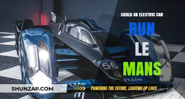 Electric Cars at Le Mans: Feasibility and Future Prospects