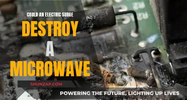 Electric Surges and Microwaves: What You Need to Know