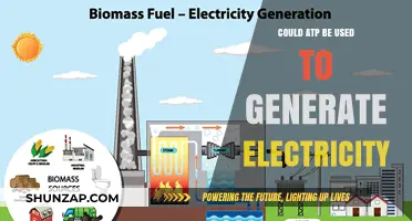 Harnessing ATP: Can Cellular Energy Power Future Electricity Generation?